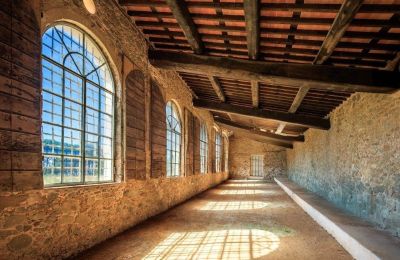 Castle for sale Capannori, Tuscany, Lemon house