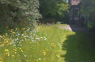 Country property for sale Germany, Photo 4/33