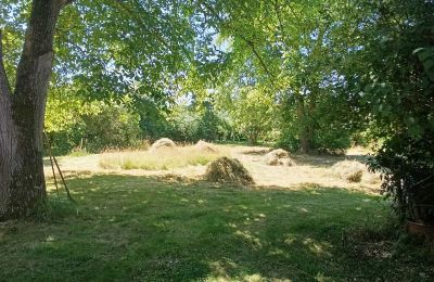 Country property for sale Germany, Photo 10/33