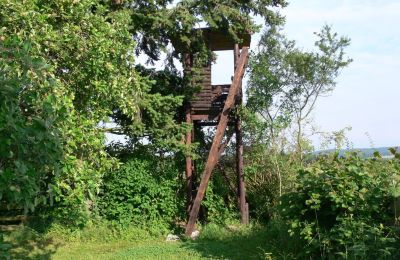 Country property for sale Germany, Photo 14/33