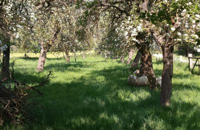 Country property for sale Germany, Photo 28/33