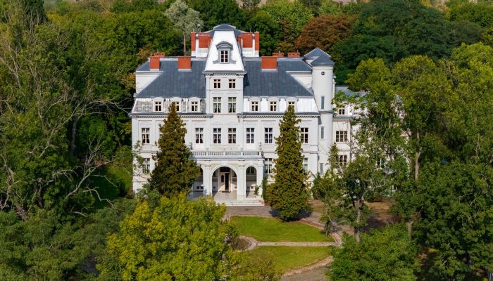 Castle for sale Malina , Łódź Region