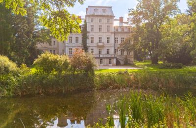 Castle for sale Malina , Łódź Region, Photo 2/32