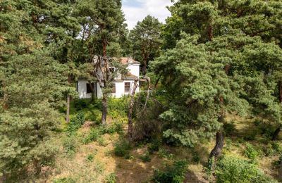 Historic villa for sale Konstancin-Jeziorna, Mazovia, Photo 4/9