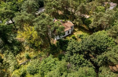 Historic villa for sale Konstancin-Jeziorna, Mazovia, Photo 6/9