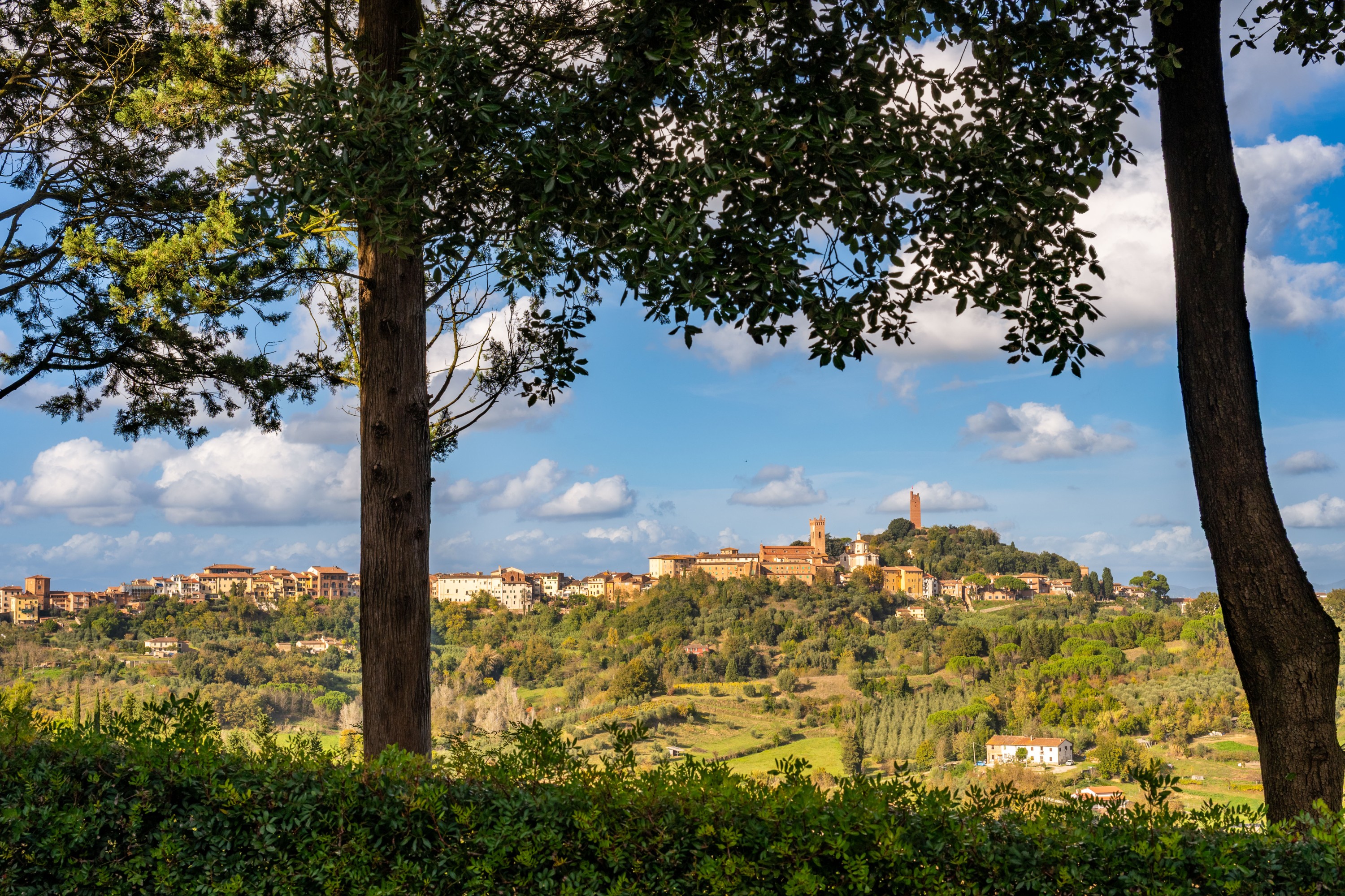 Château · San Miniato