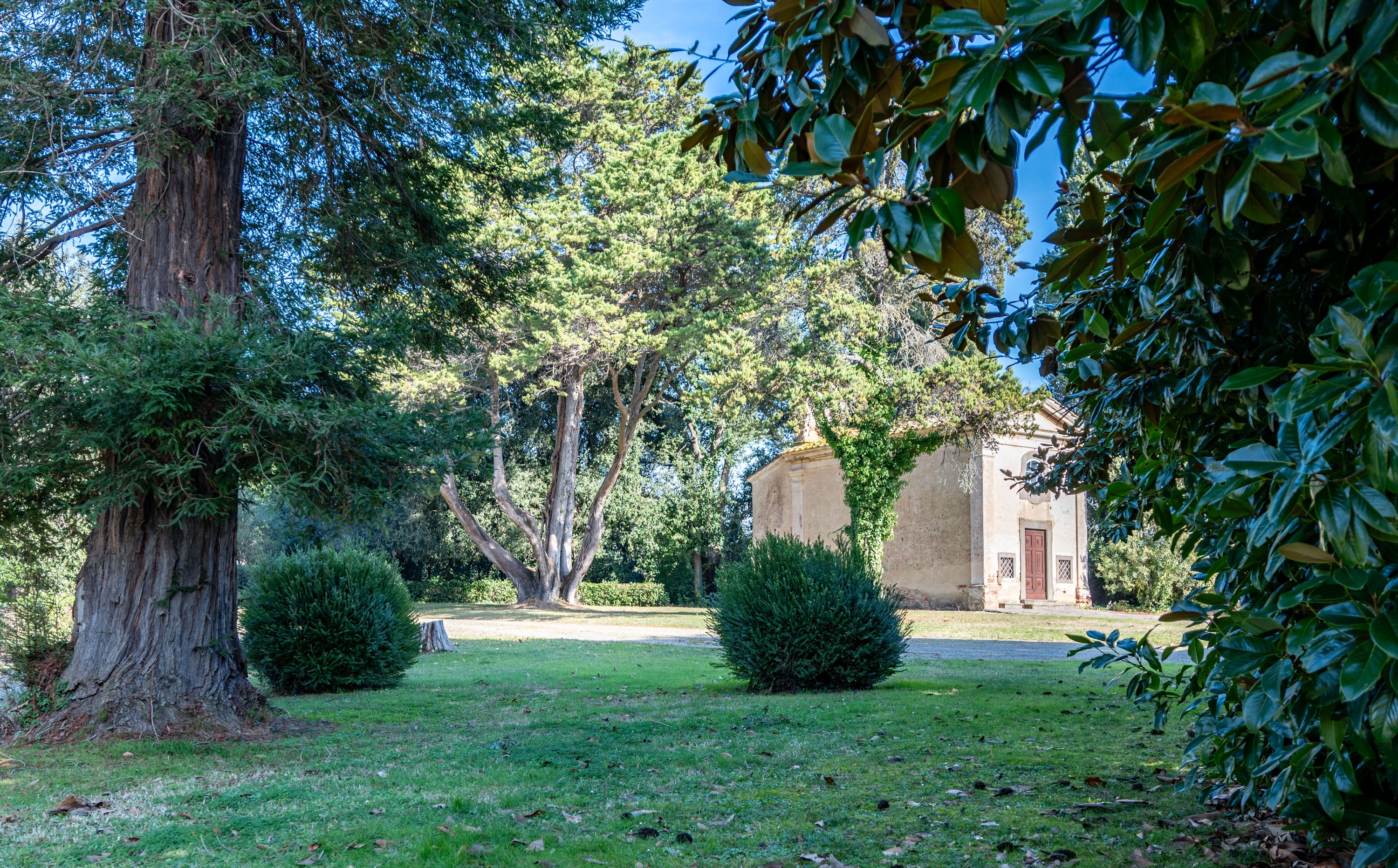 Château · Crespina