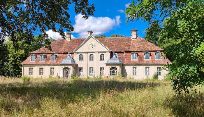 Manor house for sale Lubusz