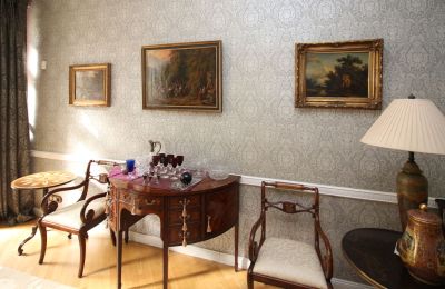 Period apartment for sale Karlovy Vary, Mariánskolázeňská, Karlovy Vary Region, Photo 5/17
