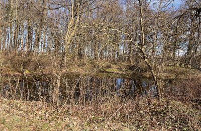 Castle for sale Kępica, Kępica 20 A, West Pomerania, Photo 12/13