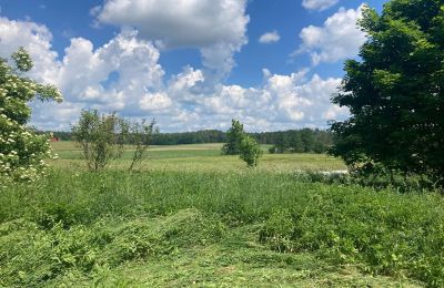 Country property for sale Bądze, Warmia-Masuria, Photo 6/8