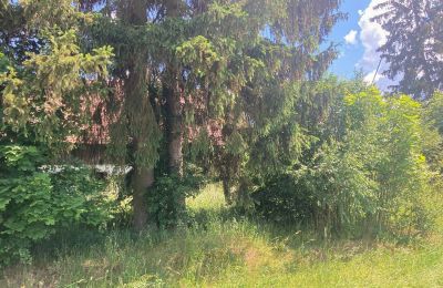 Country property for sale Bądze, Warmia-Masuria, Photo 5/8