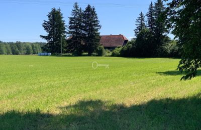 Country property for sale Bądze, Warmia-Masuria, Photo 3/8