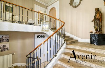 Historic villa for sale Vaugneray, Auvergne-Rhône-Alpes, Photo 4/12