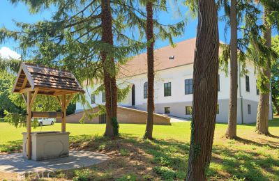 Manor house for sale Tömörd, Fő utca 11, Vas County, Photo 5/21