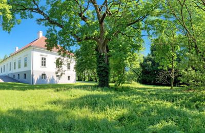 Manor house for sale Tömörd, Fő utca 11, Vas County, Palace Garden