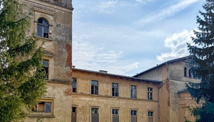 Château · Jawor