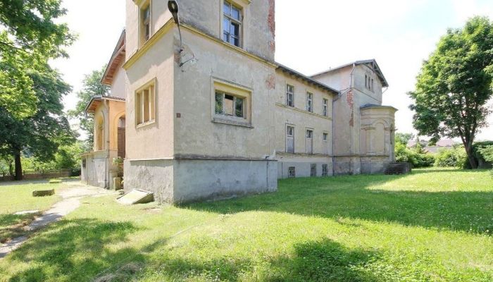 Château · Jawor