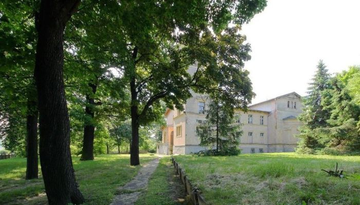Château · Jawor