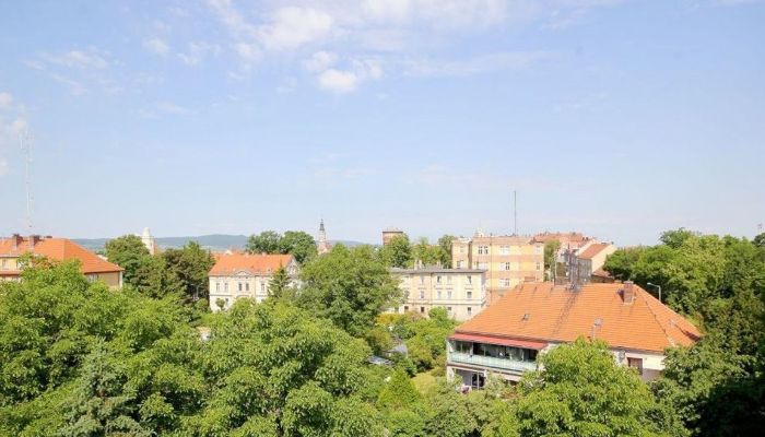 Château · Jawor