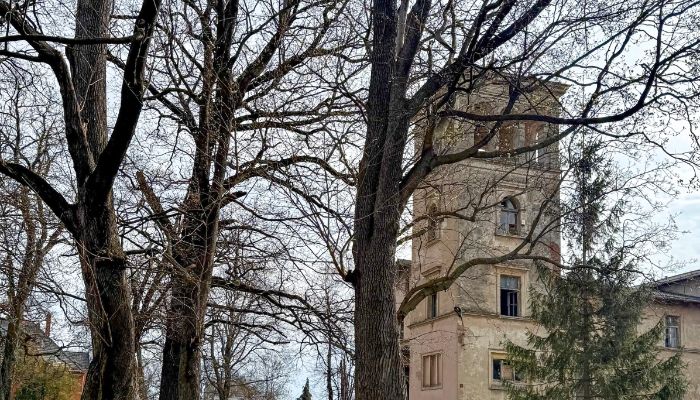 Château · Jawor