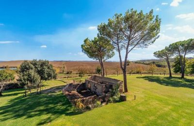 Country property for sale Monteroni d'Arbia, Tuscany, Photo 14/39