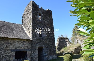 Medieval castle for sale New Aquitaine, Photo 5/13