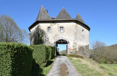 Medieval castle for sale New Aquitaine, Photo 1/13