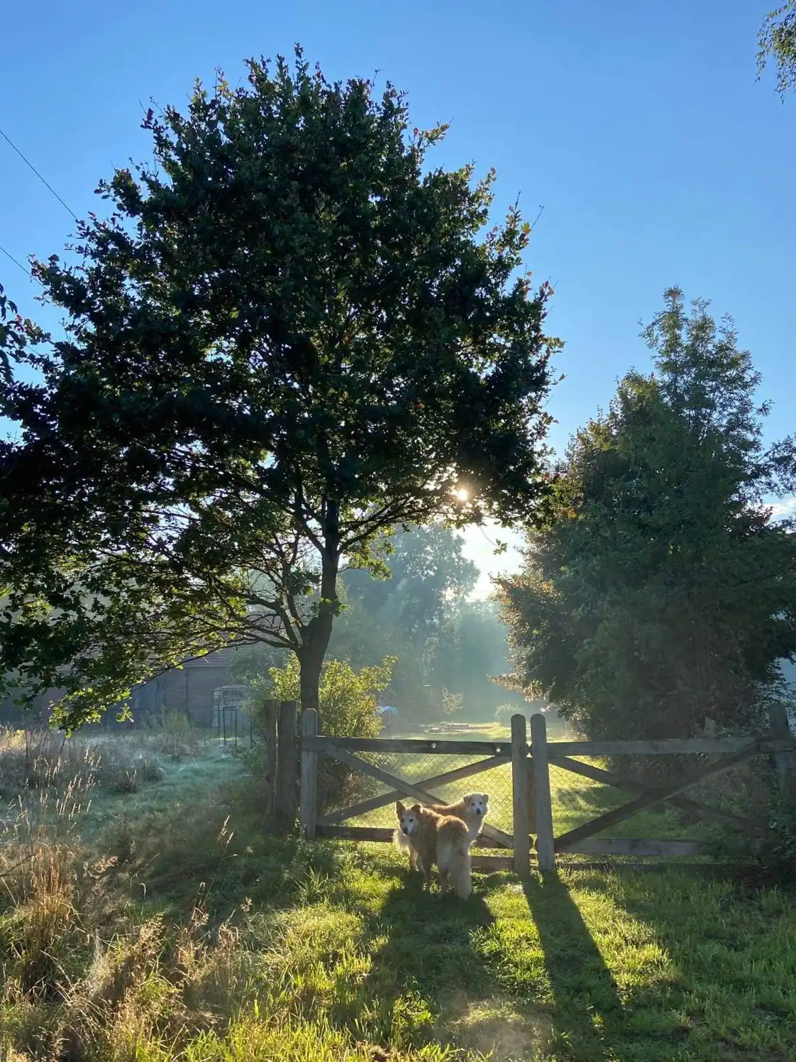 Photos Historic estate in the Germany–Poland–Czech border region