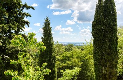 Manor house for sale Limonest, Auvergne-Rhône-Alpes, Photo 6/10