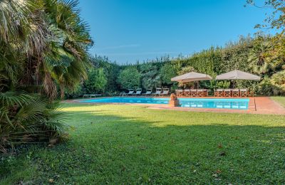 Manor house for sale San Piero a Grado, Tuscany, Photo 38/40