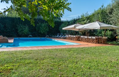 Manor house for sale San Piero a Grado, Tuscany, Photo 39/40