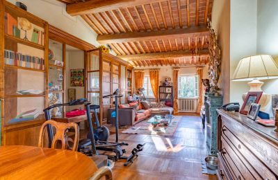 Manor house for sale San Piero a Grado, Tuscany, Photo 32/40