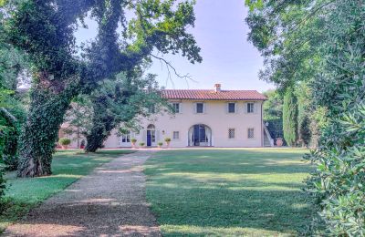 Manor house for sale San Piero a Grado, Tuscany, Photo 37/40