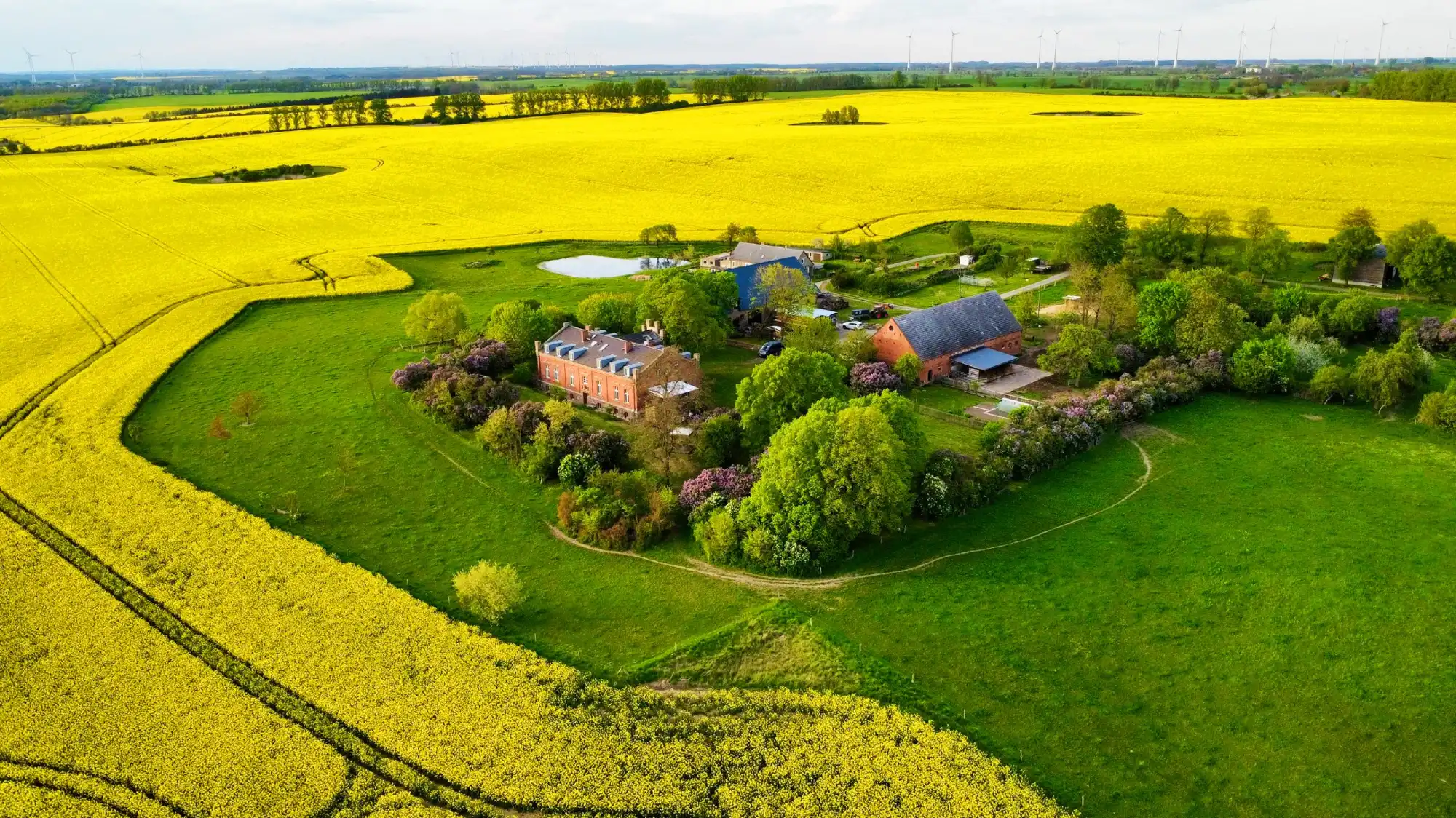 Photos Country manor in the Uckermark, c. 1870, 5.6 hectares, secluded position