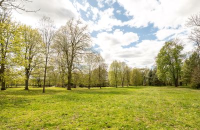 Manor house for sale Strzegocin, Mazovia, Photo 20/42