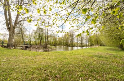 Manor house for sale Strzegocin, Mazovia, Photo 21/42