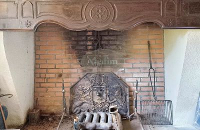 Period mansion for sale Bagnères-de-Luchon, Occitania, Photo 6/29