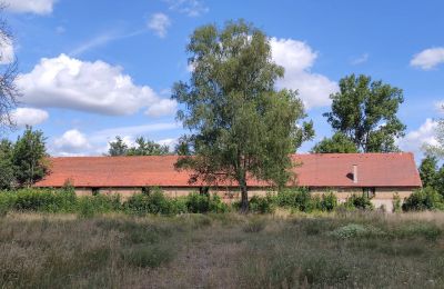 Manor house for sale 66-300 Bobowicko, Lubusz, Photo 11/14