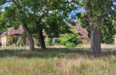 Manor house for sale 66-300 Bobowicko, Lubusz, Photo 12/14