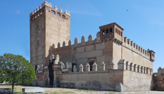 Medieval castle for sale Narros de Saldueña, Castile and León