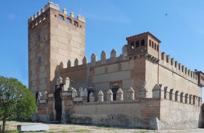 Medieval castle Narros de Saldueña, Castile and León