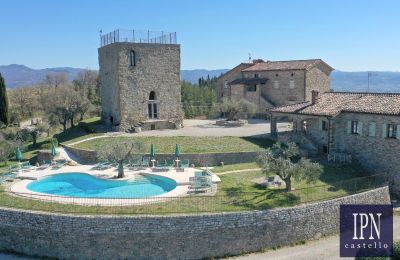Historic tower for sale 06010 Monte Santa Maria Tiberina, Umbria, Photo 3/65