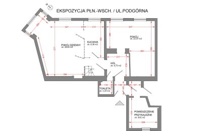 Period apartment for sale Poznań, Greater Poland, Photo 16/17