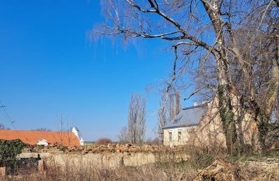 Castle for sale Ronov nad Doubravou, Moravany  1, okres Chrudim, Photo 16/17