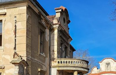 Castle for sale Ronov nad Doubravou, Moravany  1, okres Chrudim, Photo 6/17