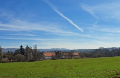 Castle for sale Ronov nad Doubravou, Moravany  1, okres Chrudim, Photo 17/17