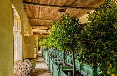 Castle for sale New Aquitaine, Photo 15/17