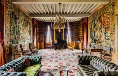 Castle for sale New Aquitaine, Photo 8/17