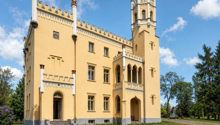 Castle for sale Narok, Opole Region